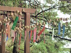 -秦岭天竺山生态文化旅游景区