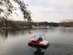 -东平国家森林公园