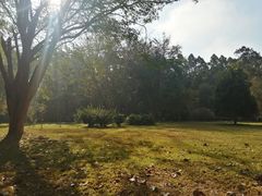 -野象谷景区