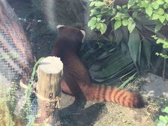 -石排湾郊野公园