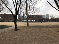 -泰丰公园