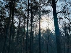 -长春净月潭风景名胜区