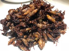 -日丰园海肠水饺·老字号大连海鲜(和平广场店)