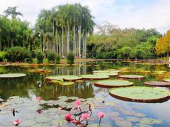 -中国科学院西双版纳热带植物园