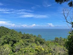 -广东惠东海龟国家级自然保护区