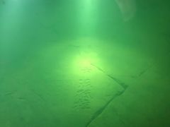-白鹤梁水下博物馆