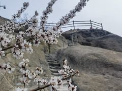 -北京凤凰岭