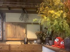 -稻前Taoki(方圆荟店)