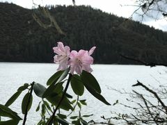 -普达措国家公园