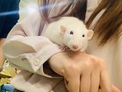 -藦茜花园宠物主题亲子互动体验馆(国顺东路店)