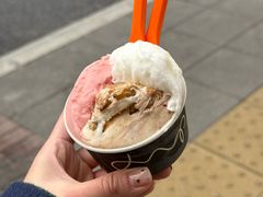 白柚啤酒花-Dip in Gelato(富民路店)