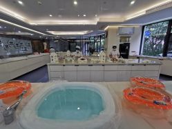 -宝生月子中心·独栋独院式(南山店)