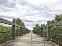 -呼兰河口湿地公园