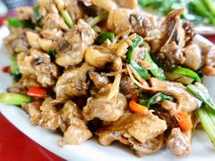 -生态苑农庄(十里画廊遇龙河店)