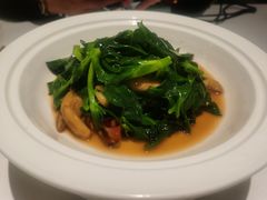 -阿五黄河大鲤鱼(海尚店)