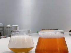 接骨木西打-稀物集咖啡(徽州大道店)