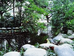 -成都市活水公园