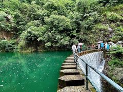 -大奇山国家森林公园