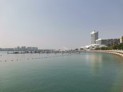 -五缘湾湿地公园