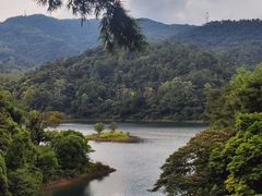 -佛山市三水区大南山森林公园