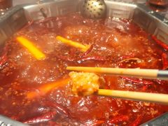 -蜀九香火锅(九眼桥店)