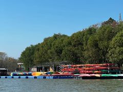 -上海海湾国家森林公园