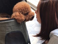 -星巴克臻选(湖滨道店)