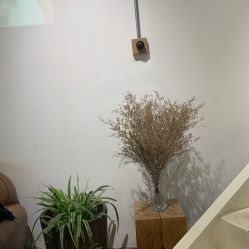 -M+hair salon专业造型沙龙