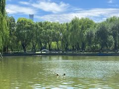 -中国农业博物馆