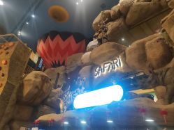 -卡通尼·Safari非洲探索乐园·生日会(金桥国际商业广场店)