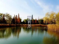 -中关村生命科学园