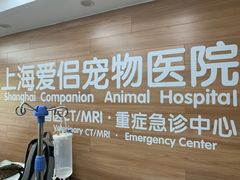 -爱侣宠医·鹦鹉专科·小型哺乳类·异宠专科(灵石路店)