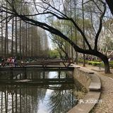 同济🌸