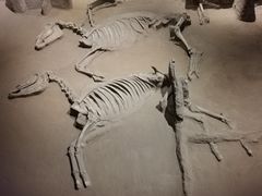 -洛阳周王城天子驾六博物馆