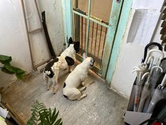 -小时光咖啡馆(北锣鼓巷店)
