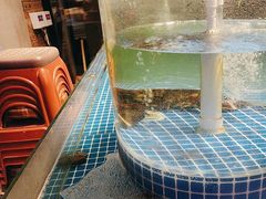 -老灶堂文创火锅(文艺路店)