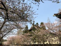 -鸡鸣赐茶(鸡鸣寺路店)