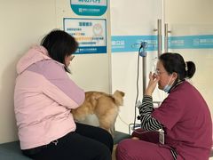 -美联众合动物医院·24h京西诊疗中心