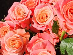 -上海交通大学(闵行校区)