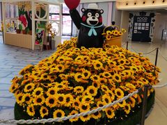 -新城市广场