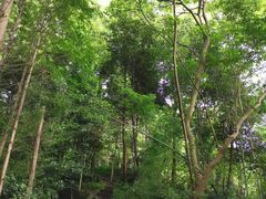 -都江堰普照寺