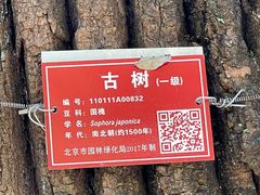 -北京上方山国家森林公园