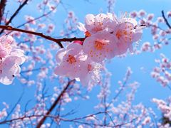 -大兴滨河森林公园