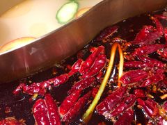 红白鸳鸯锅-小龙坎老火锅(北京三里屯店)