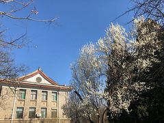 -山东师范大学(千佛山校区)