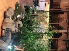 -雅和生态渔庄·宜城锅巴饭(龙灵山公园店)