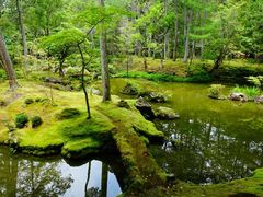 -西芳寺(苔寺)