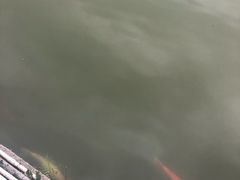 -珠海圆明新园