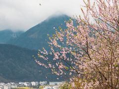 -婺源风景区