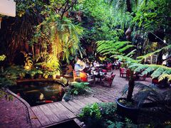 -Fern Forest Cafe